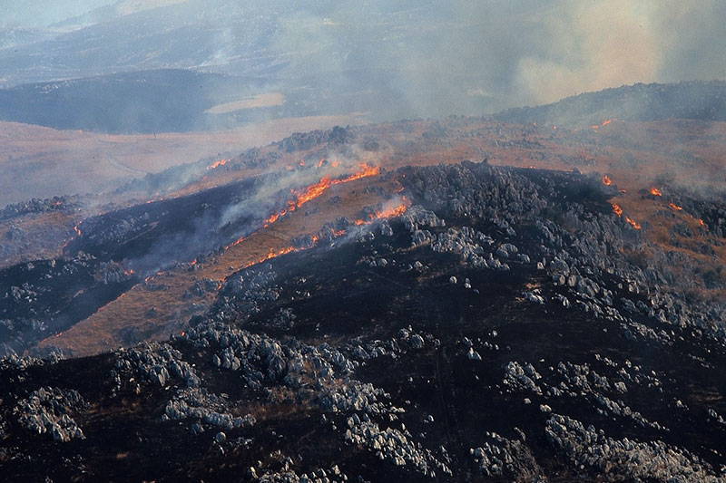 美祢市秋吉台山焼き
