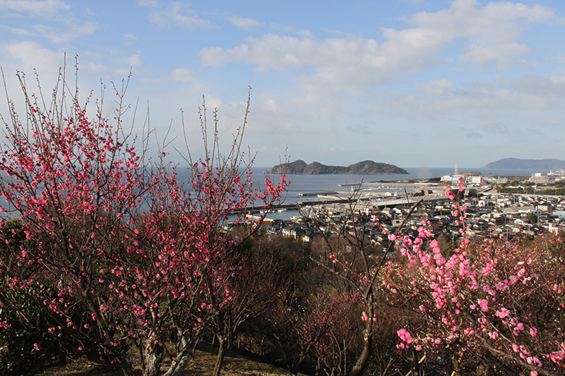 冠山総合公園 梅まつり